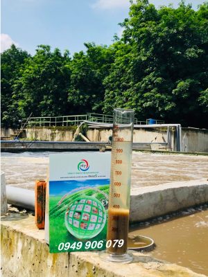 Men vi sinh hiếu khí là gì? Công ty xử lý nước thải tại TP HCM