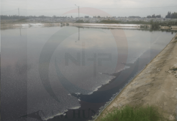 Chế phẩm vi sinh xử lý nước thải