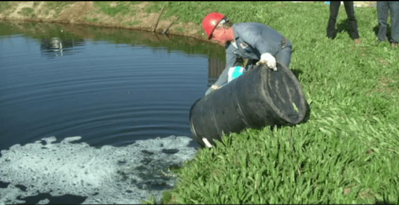 Men vi sinh xử lý nước thải