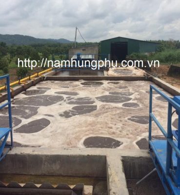 Men vi sinh hiếu khí là gì? Công ty xử lý nước thải tại TP HCM