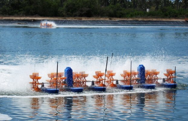 Các phương pháp xử lý nước thải thủy sản