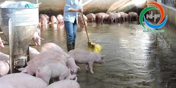 Khử mùi tại khu vực chứa phân động vật