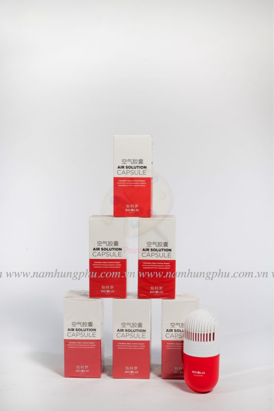 Cách xử lý mùi hôi trên xe oto? Sản phẩm xư lý mùi hôi xe oto hiệu quả?