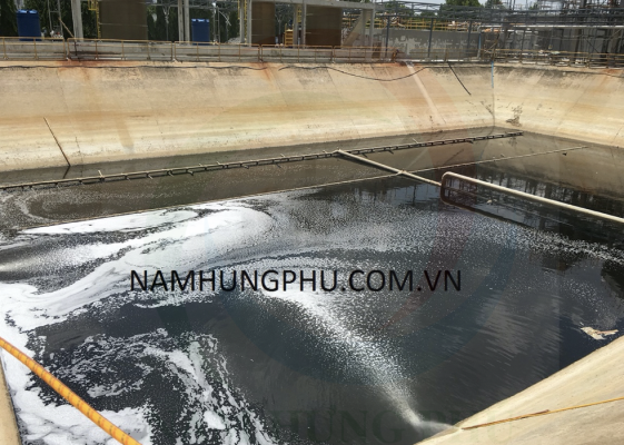 Nhưng sản phẩm giúp xử lý mùi hôi nước thải tốt nhất?