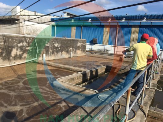 Nhưng sản phẩm giúp xử lý mùi hôi nước thải tốt nhất?