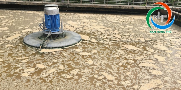 Xử lý dầu mỡ trong nước thải bằng sản phẩm gì hiệu quả nhất?