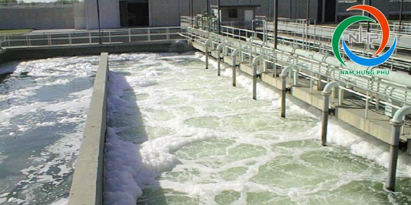 Chế phẩm khử mùi hôi nước thải