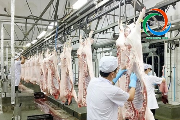 Xử lý mùi hôi thối từ các lò mổ heo? Nguyên nhân, cách khắc phục hiệu quả nhất?