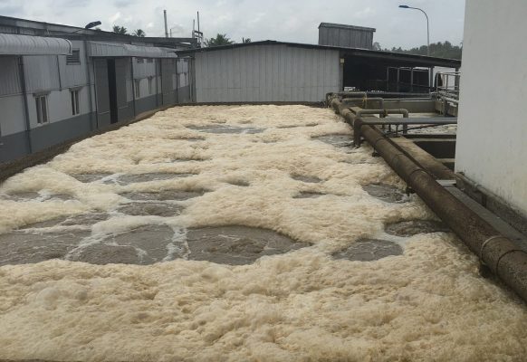 Bùn hiếu khí màu đen. Nguyên nhân và cách khắc phục khi bùn hiếu khí màu đen?