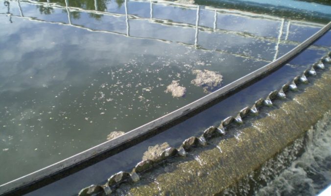 Vi sinh xử lý nitơ trong nước thải