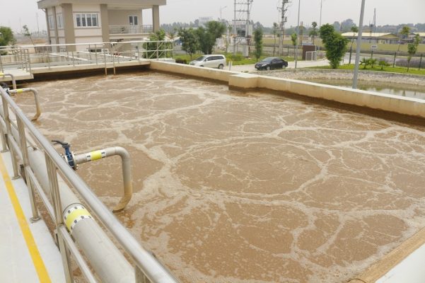 Cách nuôi vi sinh bể hiếu khí xử lý nước thải đạt hiệu quả cao