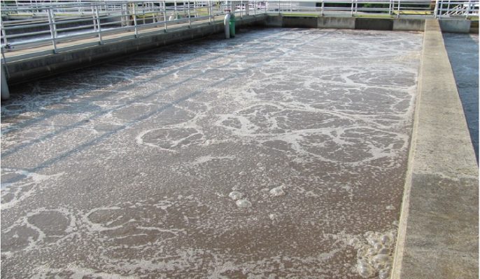 Men vi sinh xử lý nước