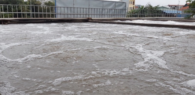 Chế phẩm khử mùi hôi cho ao hồ tụ đọng hôi thối