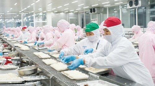 Vi sinh xử lý nước thải chế biến thủy sản