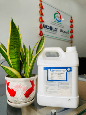 Hotel plant - based Deodorant