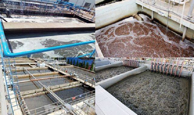 Sản phẩm xử lý nước thải chế biến thực phẩm hiệu quả