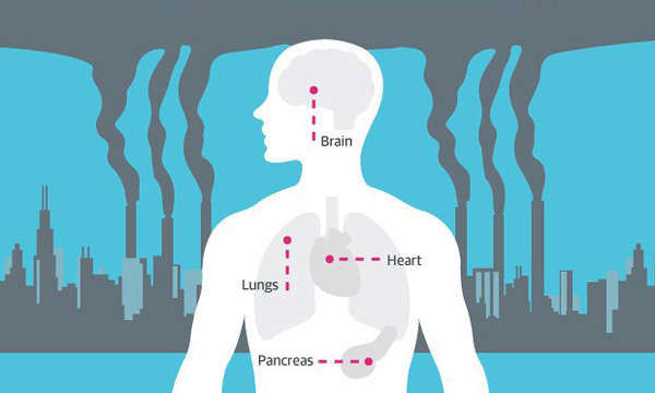 Sản phẩm xử lý mùi hôi không khí