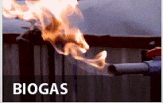 Sản phẩm hỗ trợ tăng cường sinh khí biogas