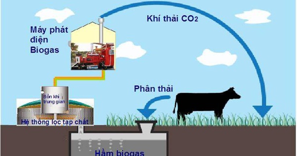 Sản phẩm hỗ trợ tăng cường sinh khí biogas